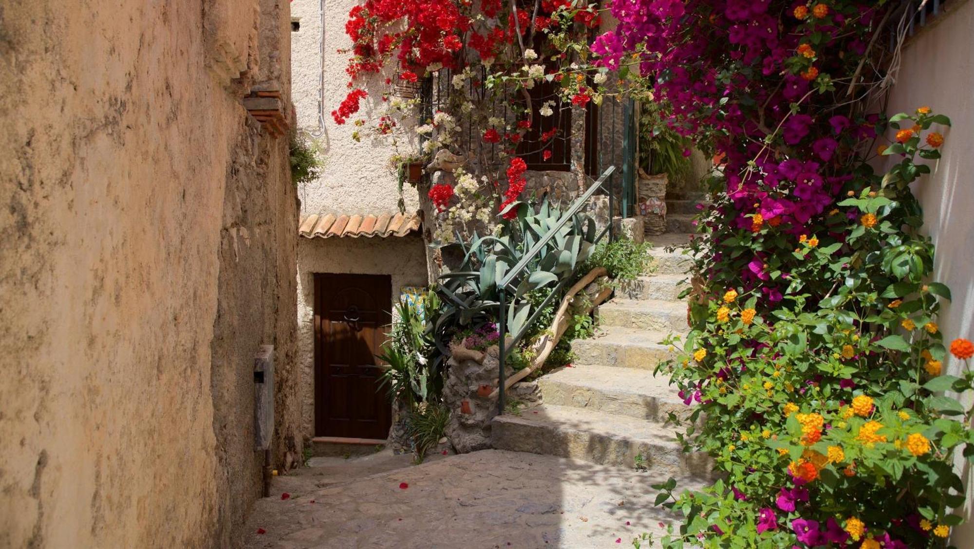 Ferienwohnung The Lemon Tree House Scalea Exterior foto