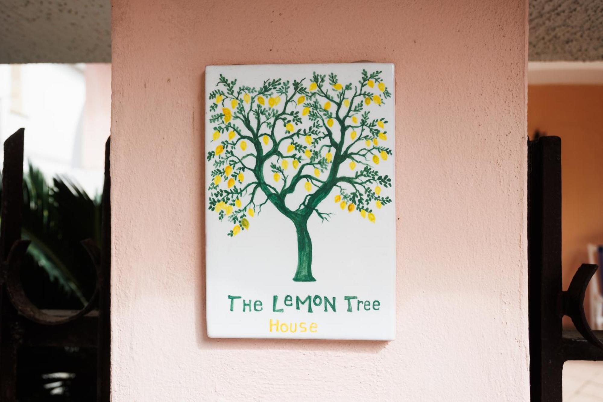 Ferienwohnung The Lemon Tree House Scalea Exterior foto